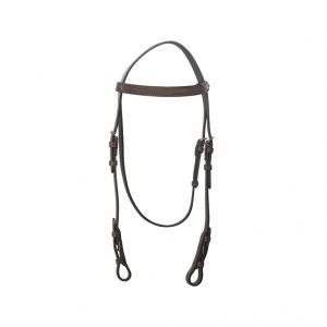 Bridles & Accessories