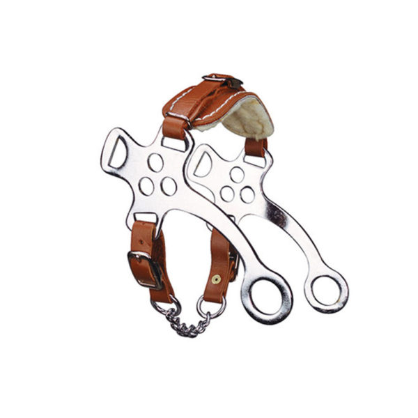 Hackamore Short Shank