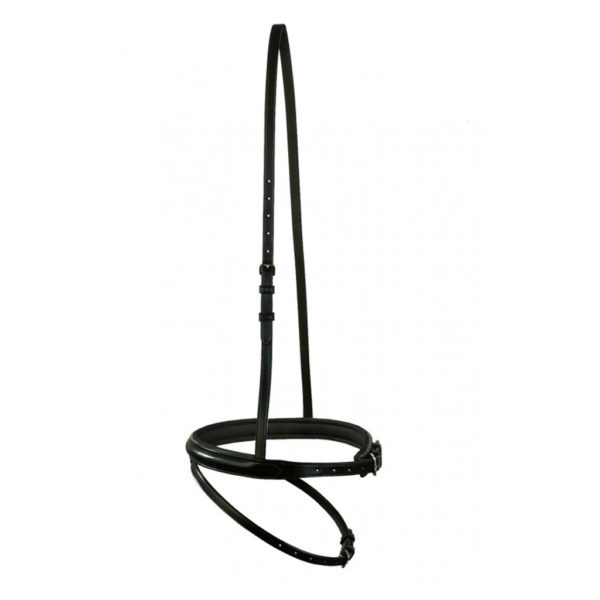 Noseband, Flash