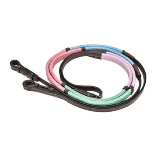 Rainbow Reins