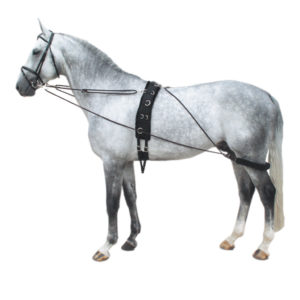 Pessoa-type Lunge Aid