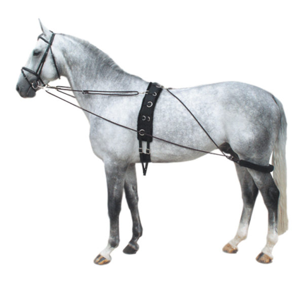 Pessoa-type Lunge Aid