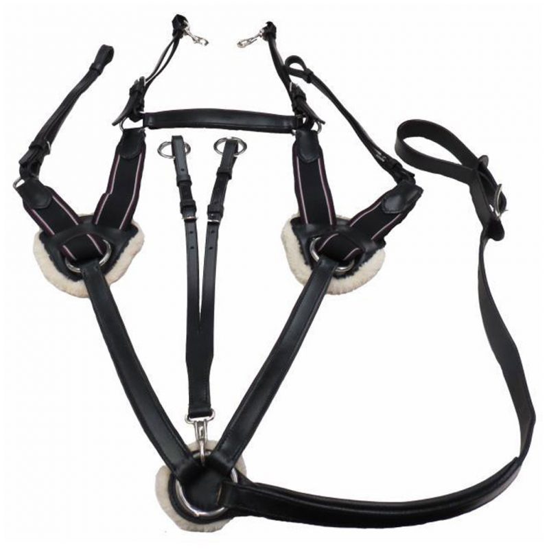 Breastplate, 5 Point Horseman’s Haven