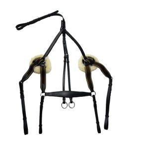 Breastplate, Indiana, 5 Point