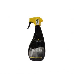 Lincoln Stain Remover