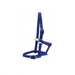 Economy Halter - No Lead