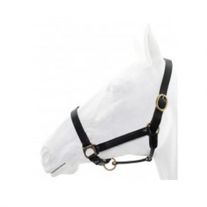 Leather Halter