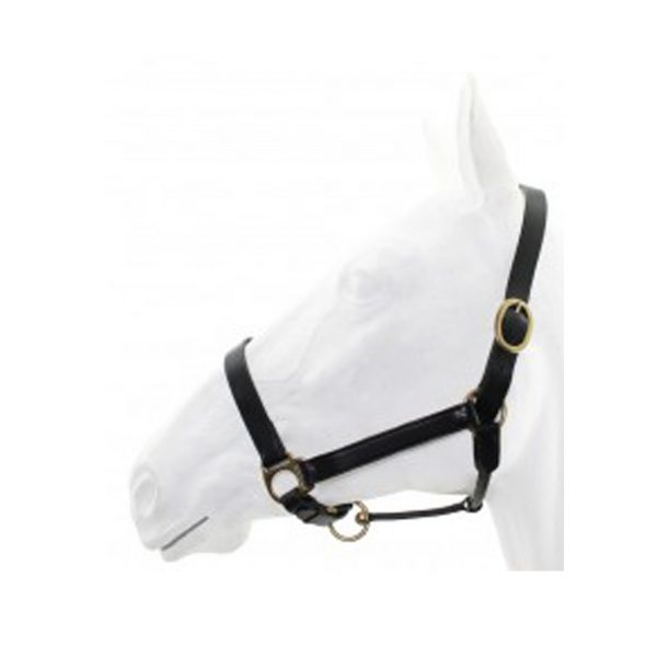Leather Halter