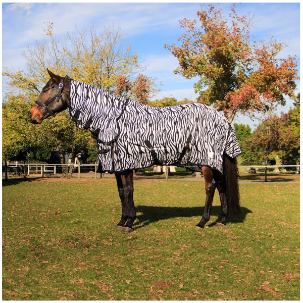 Fly Sheet Zebra Combo with Neck