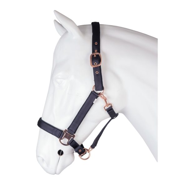 Halter, Horka - Elegant - Image 2