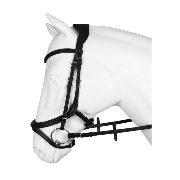 Bridle, Horka Kapitano