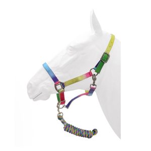 Rainbow halter with Rope Lead