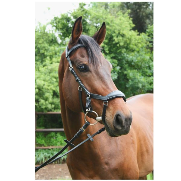 Bridle, Indiana Relief Bridle with SureGrip Reins
