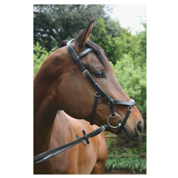 Bridle, Indiana Relief Bridle with SureGrip Reins - Image 2