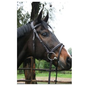 Bridle, Indiana Raised Padded Snaffle Bridle with SureGrip Reins