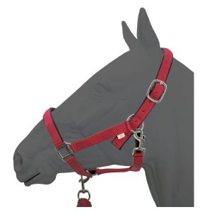 Padded Halter With Rope Lead