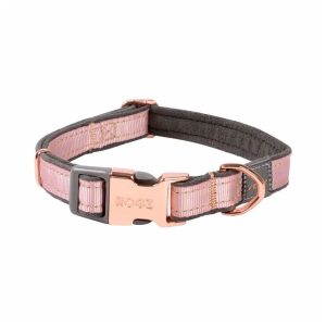 urban classic dog collar