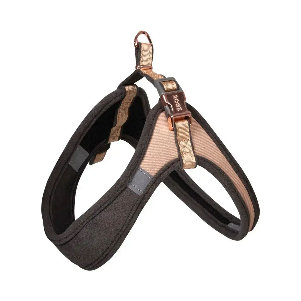 dog harness