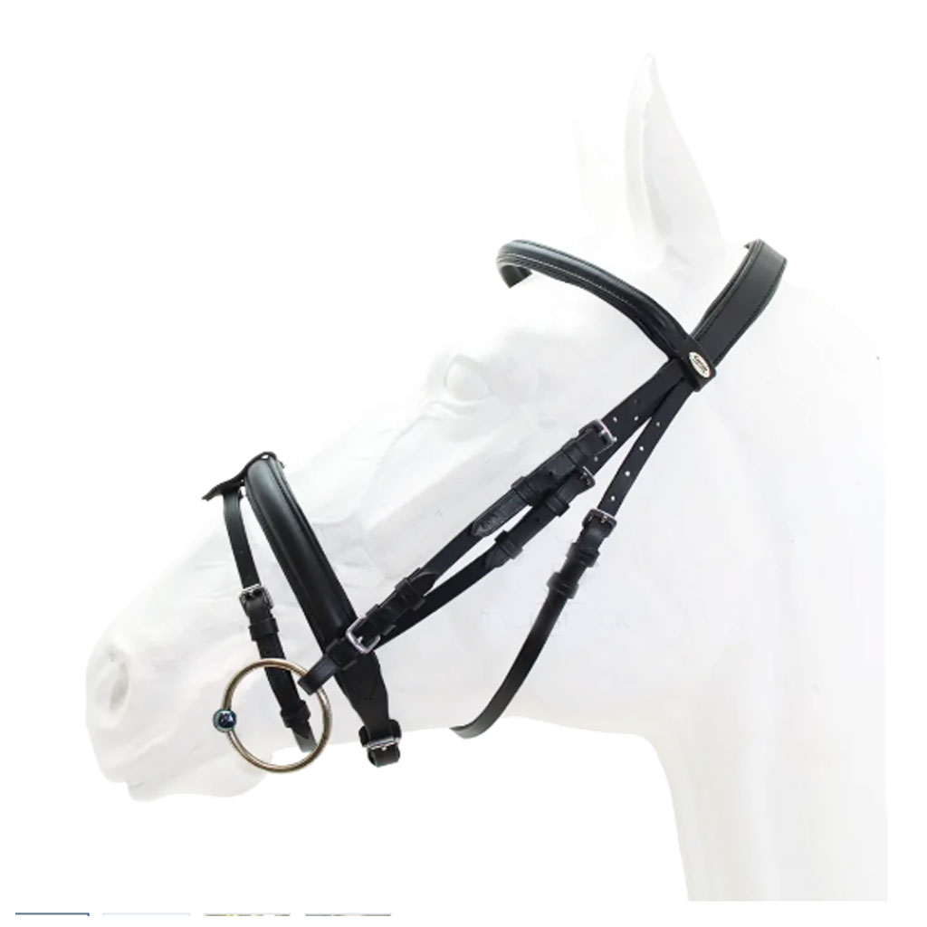 Capriole Bridle Badminton